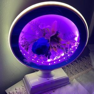 Beautiful lamp that changes color